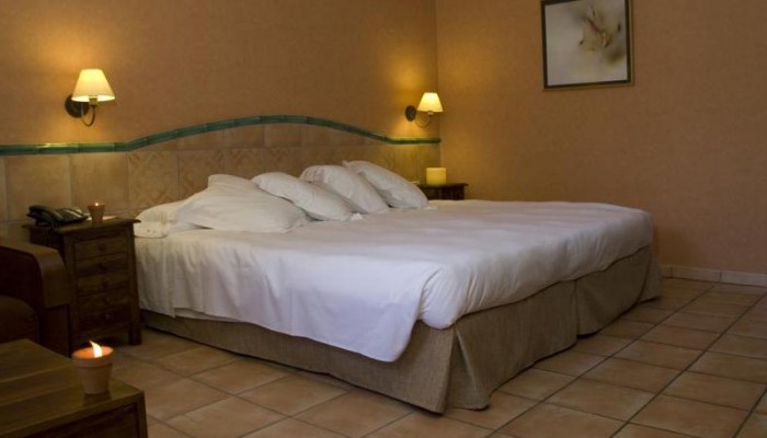Hotel Jardin Milenio poza 8