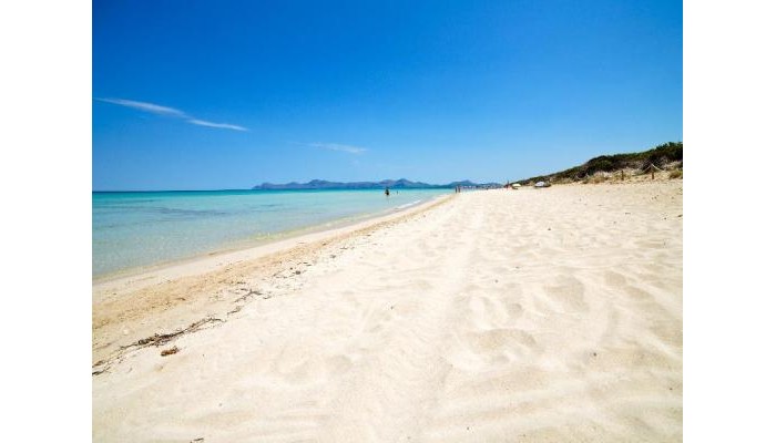 Bq Sarah Hotel poza 3