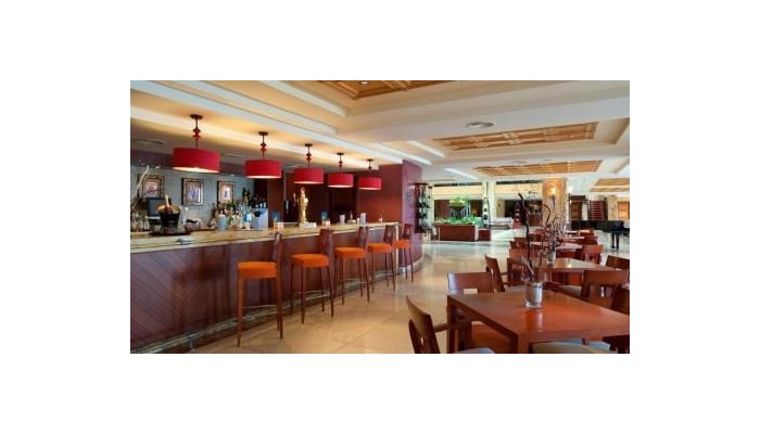 Elba Estepona Gran Hotel & Thalasso Spa poza 14