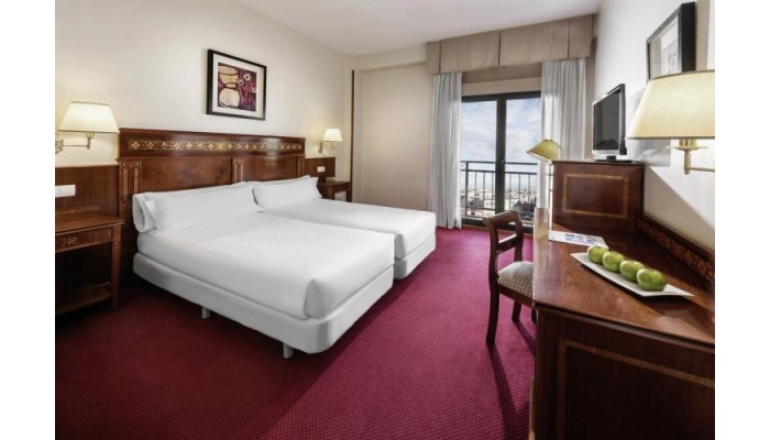 Hotel Elba Madrid Alcala poza 14