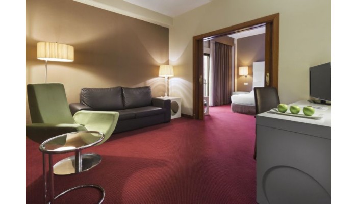 Hotel Elba Madrid Alcala poza 11