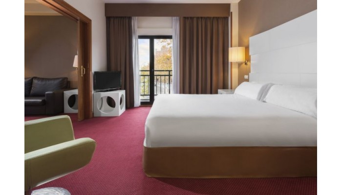 Hotel Elba Madrid Alcala poza 9