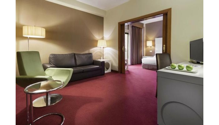 Hotel Elba Madrid Alcala poza 24