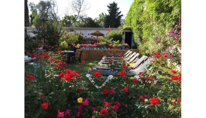 Hotel Carmen Teresa poza 7