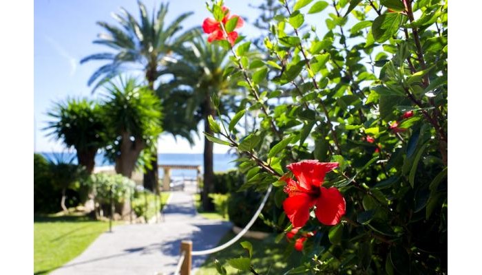 Hotel Globales Gardenia poza 5