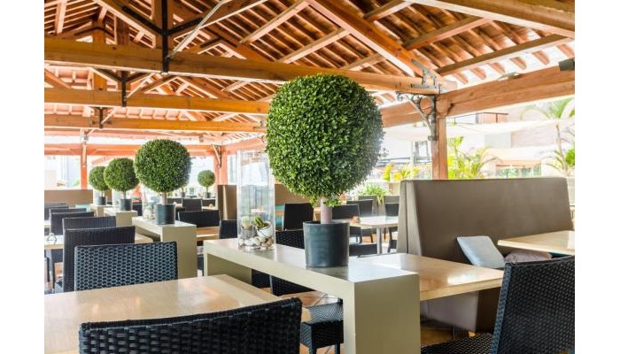 Hotel Zafiro Rey Don Jaime poza 10