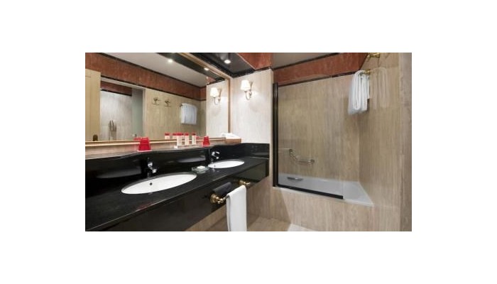 Gran Melia Don Pepe Hotel poza 15