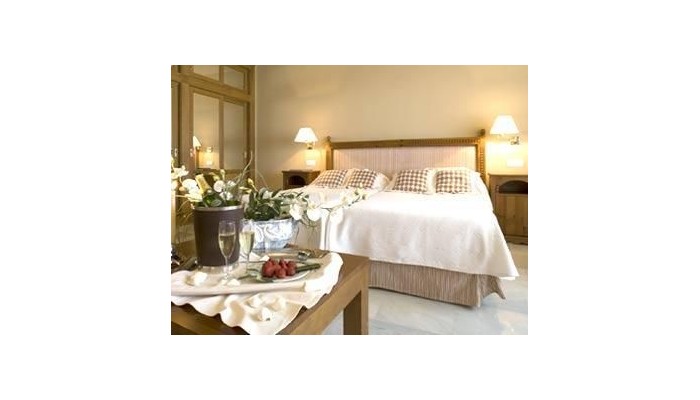 Hotel Guadalmina Spa And Golf Resort poza 15