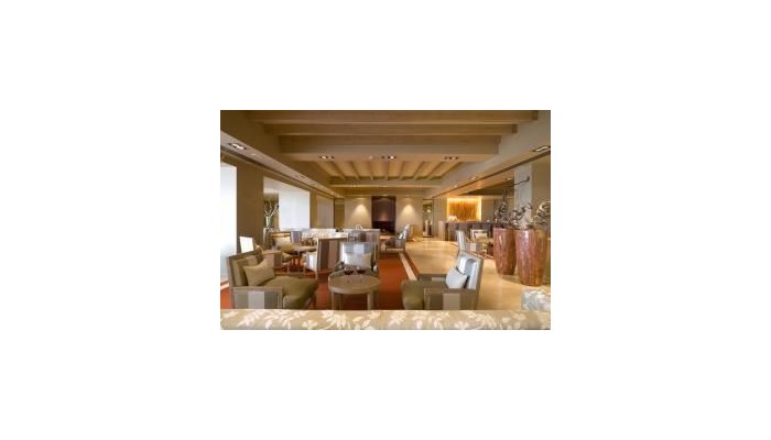 Hotel Guadalmina Spa And Golf Resort poza 72