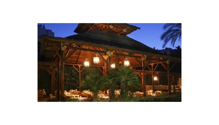 Hotel Melia Marbella Banus poza 40