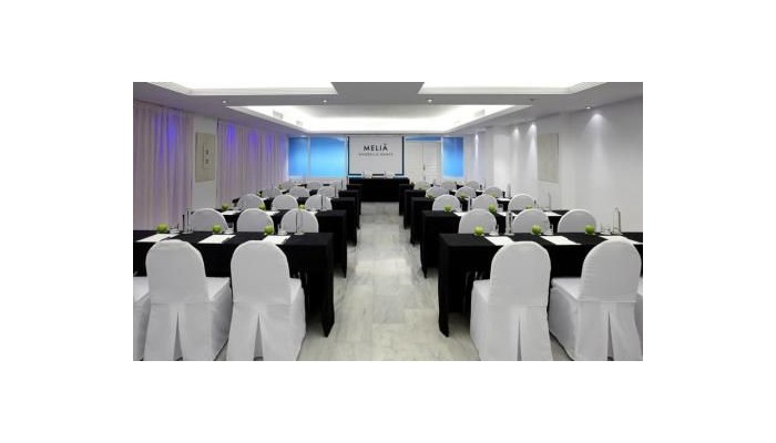 Hotel Melia Marbella Banus poza 13