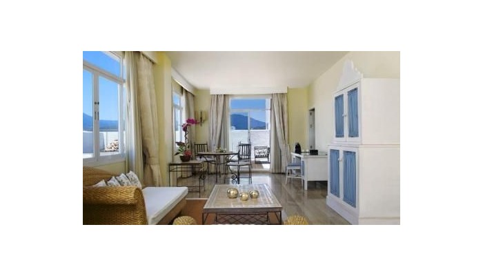 Hotel Melia Marbella Banus poza 22