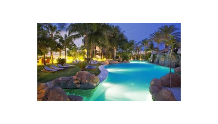 Hotel Melia Marbella Banus poza 18