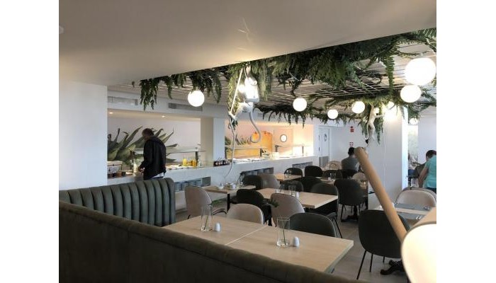 Bq Paguera Boutique Hotel poza 10