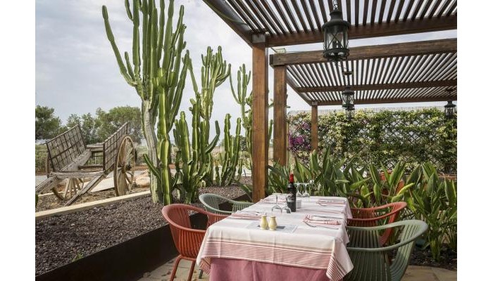 Grand Palladium Palace Ibiza Resort & Spa poza 19