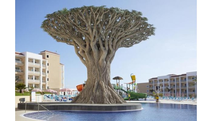 Hotel Bahia Principe Fantasia Tenerife poza 2