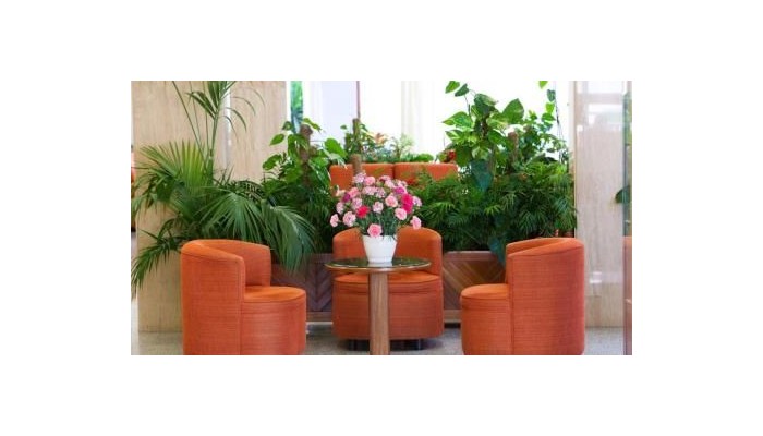 Hotel Apartamentos Casablanca poza 18