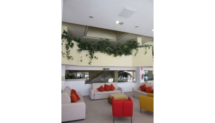 Hotel Paradise Park Fun Lifestyle poza 4