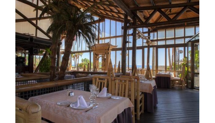 Hotel Ms Tropicana poza 7